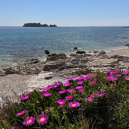 Villa Anthony Rovinj Eksteriør billede