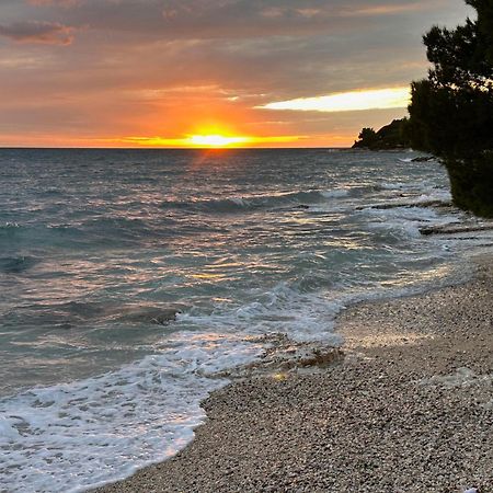 Villa Anthony Rovinj Eksteriør billede