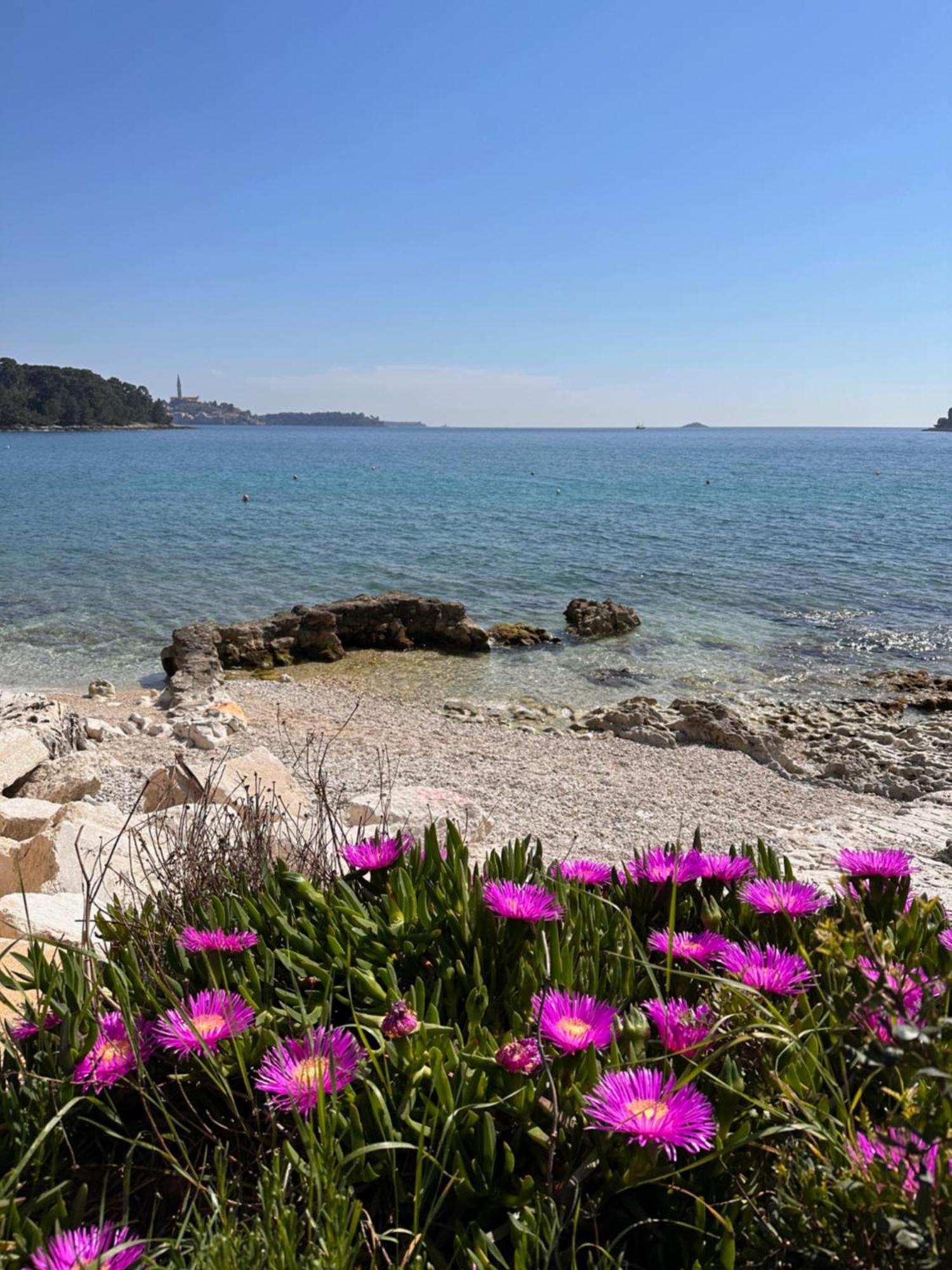 Villa Anthony Rovinj Eksteriør billede