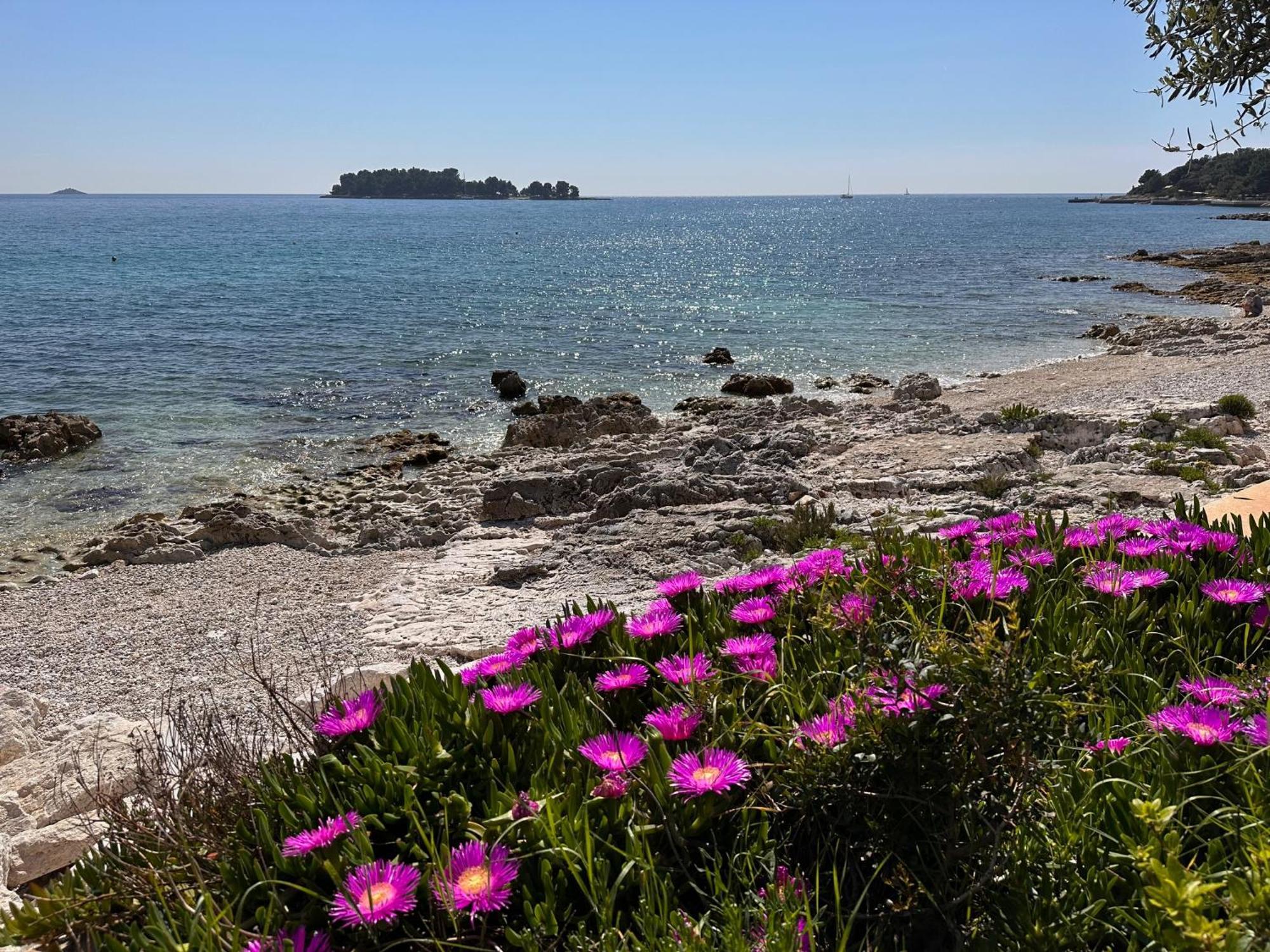 Villa Anthony Rovinj Eksteriør billede