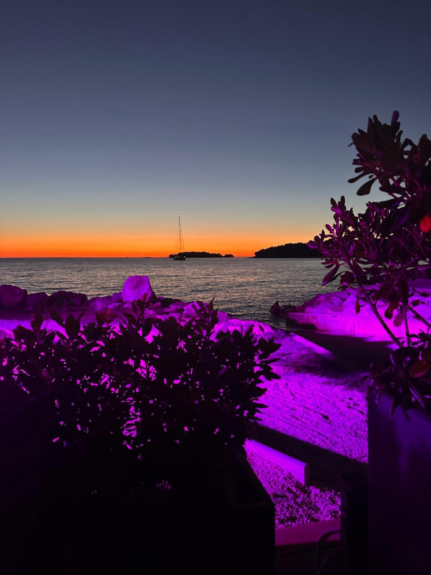 Villa Anthony Rovinj Eksteriør billede